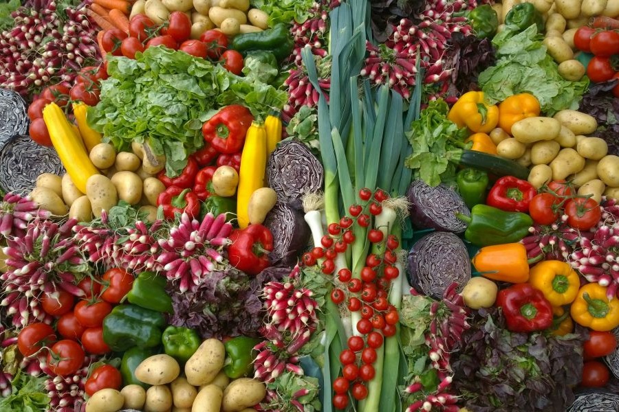 Prague World Vegan Fest: A Celebration of Conscious Living in Prague