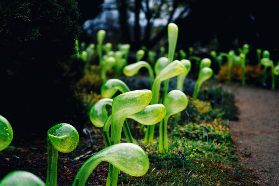 Prague Botanical Garden: Křišťálová zahrada – A Glass Symphony of Light and Music