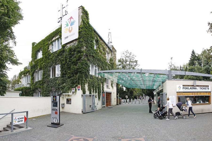 Prague announces new selection procedure for the director position of Zoo Praha